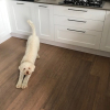 parquet bamboo carbonizzato sbiancato strand woven maxiplancia 05